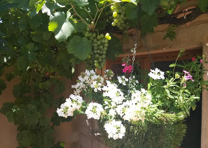 Lou Bagnou Mi-clos *