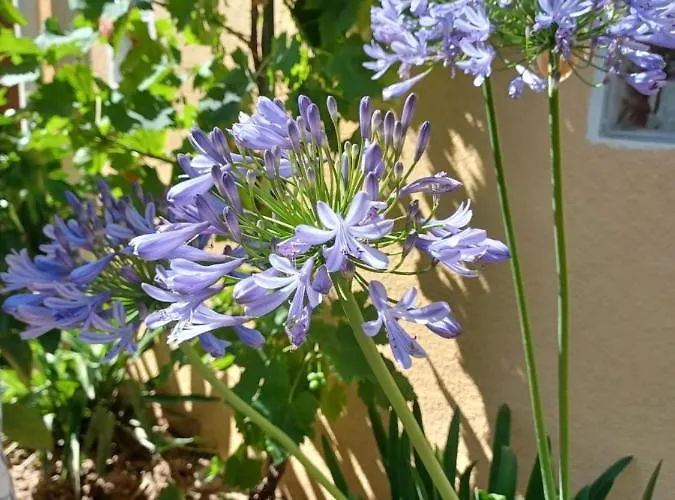 Lou Bagnou Mi-clos * Bagnols-sur-Cèze