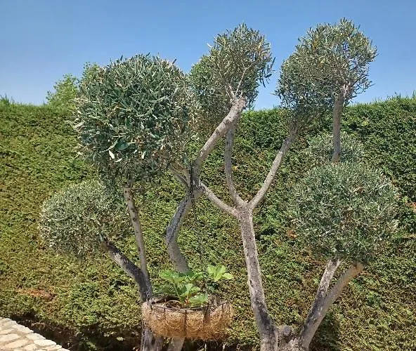 Σπίτι διακοπών Lou Bagnou Mi-clos